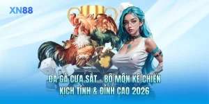 Đá Gà Cựa Sắt - Bộ Môn Kê Chiến Kịch Tính & Đỉnh Cao 2026