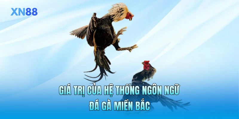 Giá trị của hệ thống ngôn ngữ đá gà miền Bắc