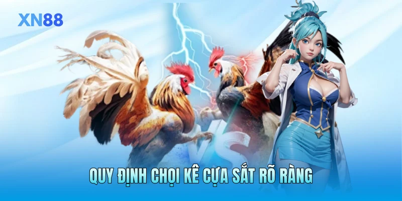 Quy định chọi kê cựa sắt rõ ràng Quy định chọi kê cựa sắt rõ ràng