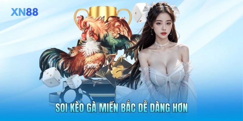 Soi kèo gà miền Bắc dễ dàng hơn