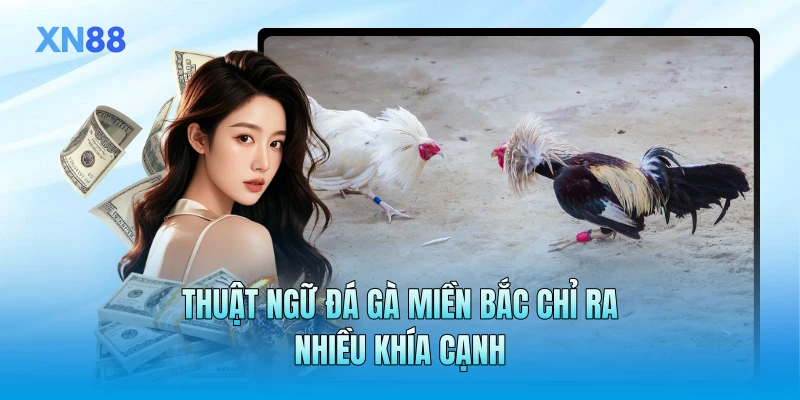 Thuật ngữ đá gà miền Bắc chỉ ra nhiều khía cạnh