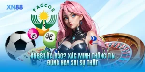 XN88 Lừa Đảo? Xác Minh Thông Tin Đúng Hay Sai Sự Thật